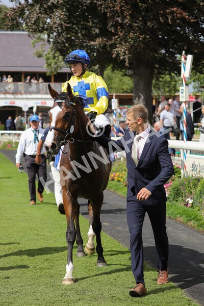 yr20082022r2-50 - Race 2 2.35pm Sky Bet Melrose Stakes