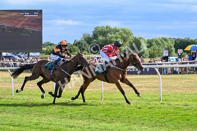 220726-Race 6-Barmyblade-0281 - Race 6 16.42pm Racing Again 4th August Handicap