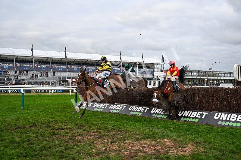 161125-Race 3-St Faz-5930 - Race 3