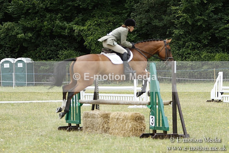 BVR160717-1687 - Ring 3 BVRC Show 16/07/17