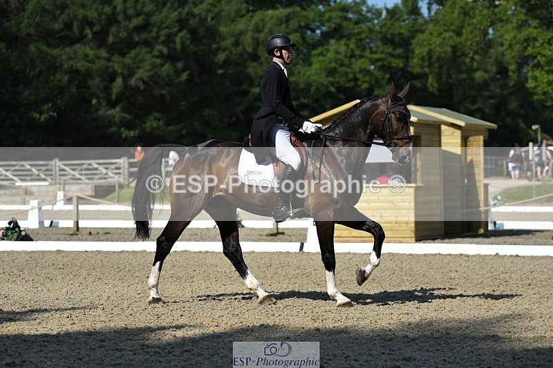 230525-093817-01637 - 307-PENHILLS_CANDY_MAN-Max_Warburton-WEDTrotUp+DR