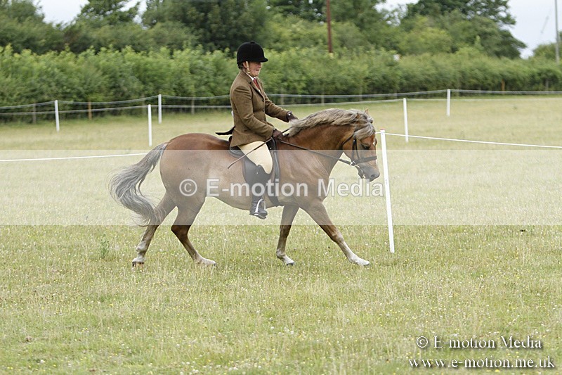 BVR160717-174 - Ring 3 BVRC Show 16/07/17