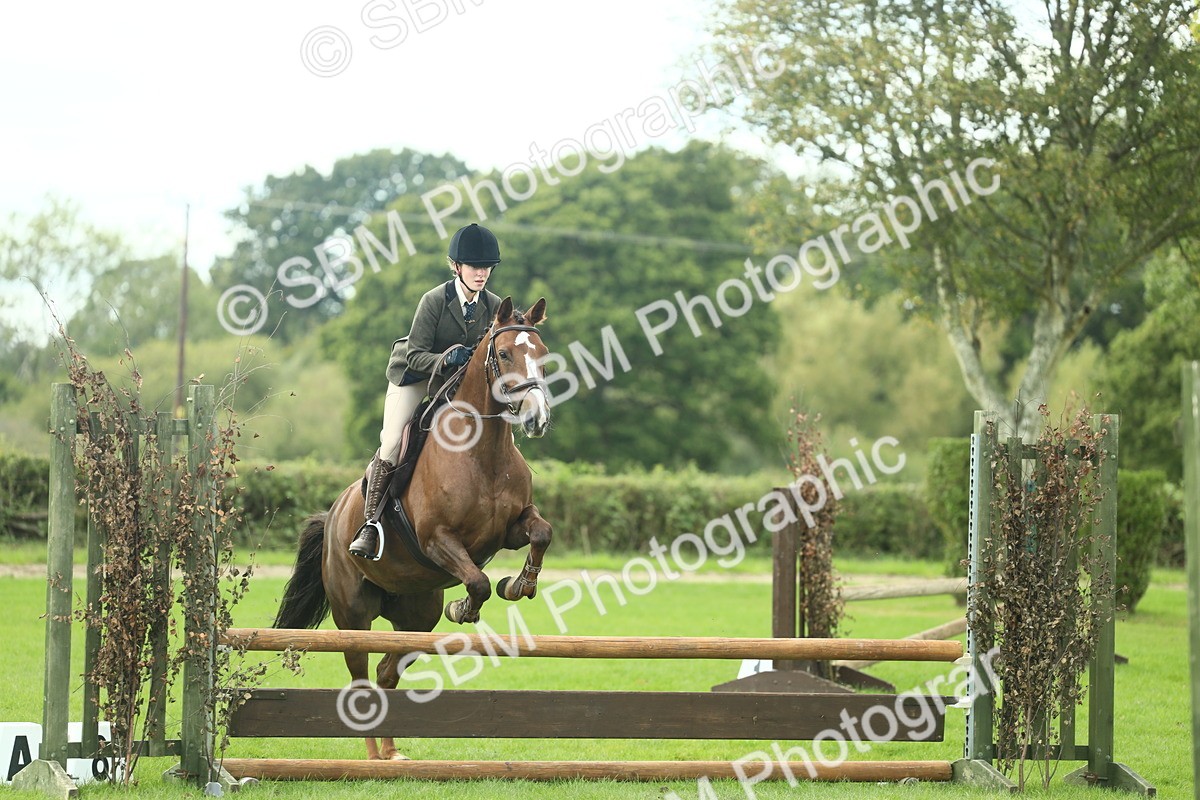 SBM_47965 - S32 - Novice & Newcomers Working Hunter