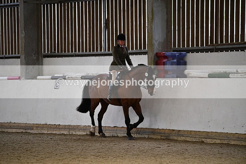 WJ5_8776 - Class 15 Ridden Show Horse
