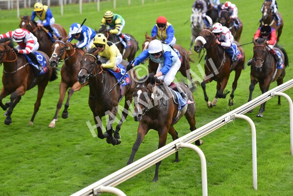 yr20082021r1-32 - Race 1 1.50pm Sky Bet Stakes
