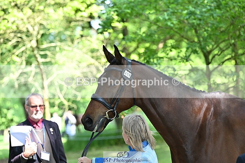 250521A-154322-00719 - B-358-Sammi.Birch-PARKFIELD.ARTIE.BLOU