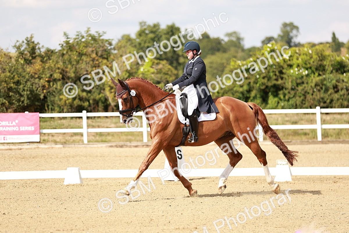 SBM_004551