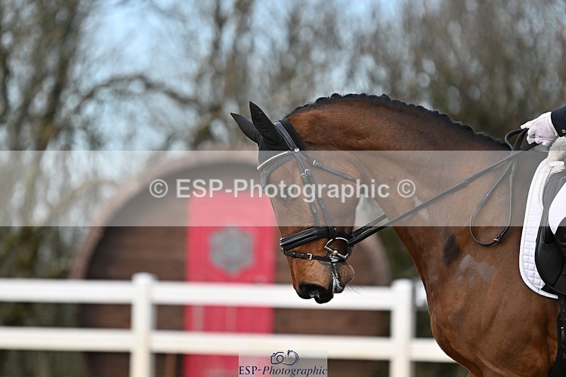 250125-130221-00530 - Dressage - CT Class 6 BE102