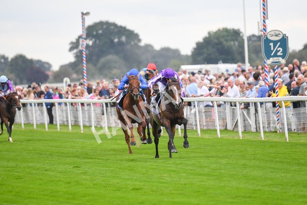 230823-Race 3-Continuous-0434 - Race 3 3.00pm Sky Bet Great Voltigeur Stakes