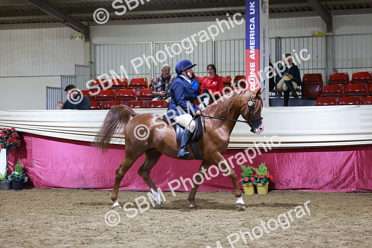 SBM_21268 - Class S - Style & Performance Champ