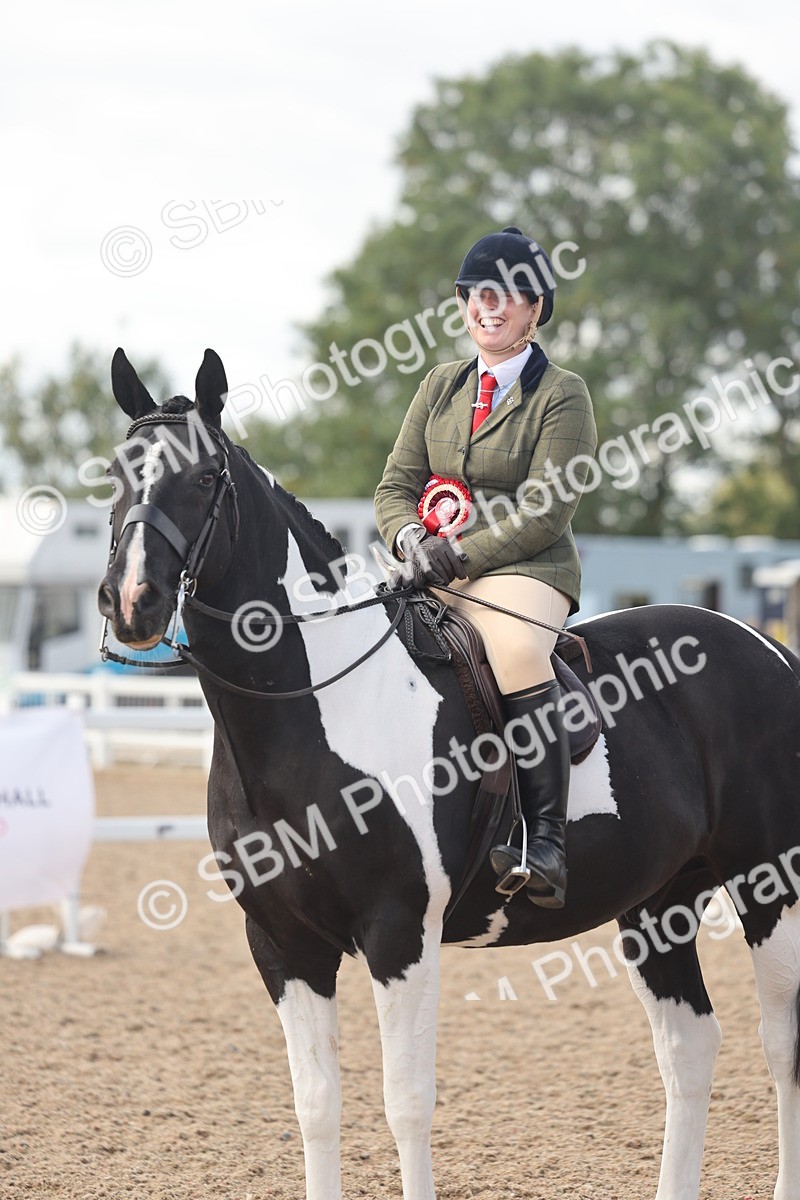 SBM_14848 - Class 308 - Ridden Coloured Horse