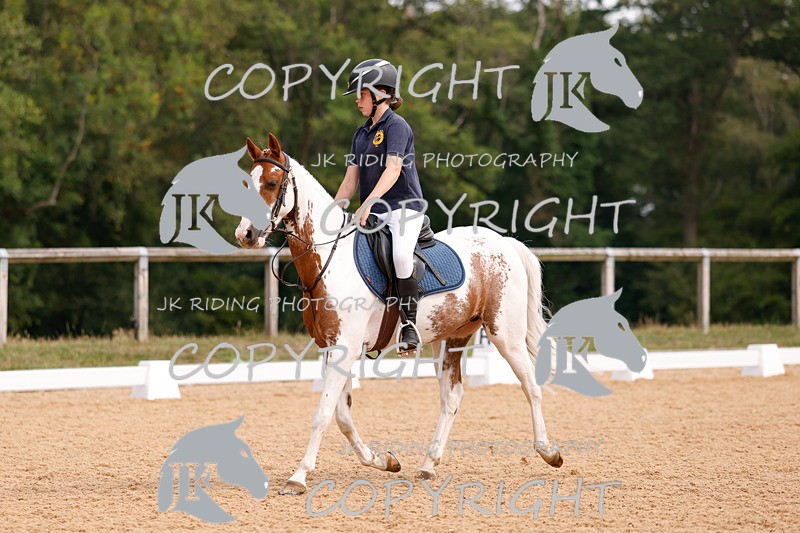 _R6A2597 - Dressage Morning