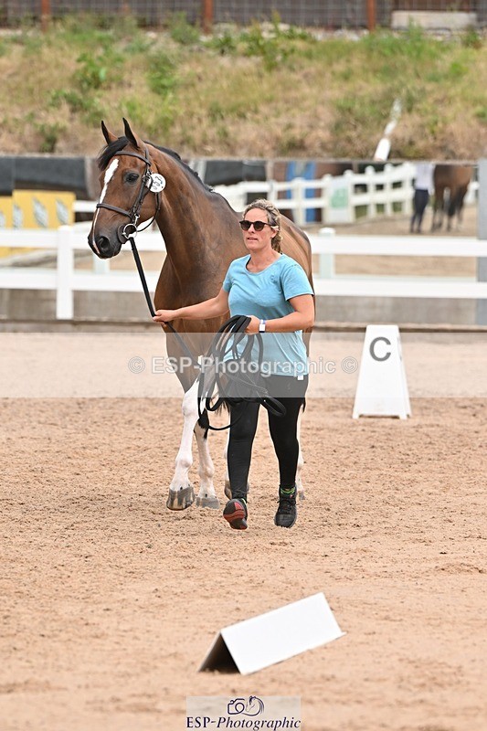 250716-144116-01303 - Trot Up 2.30 to 3.30
