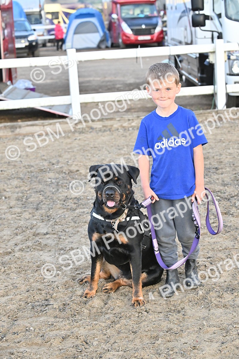 SBM_09619 - Lorry Dogs