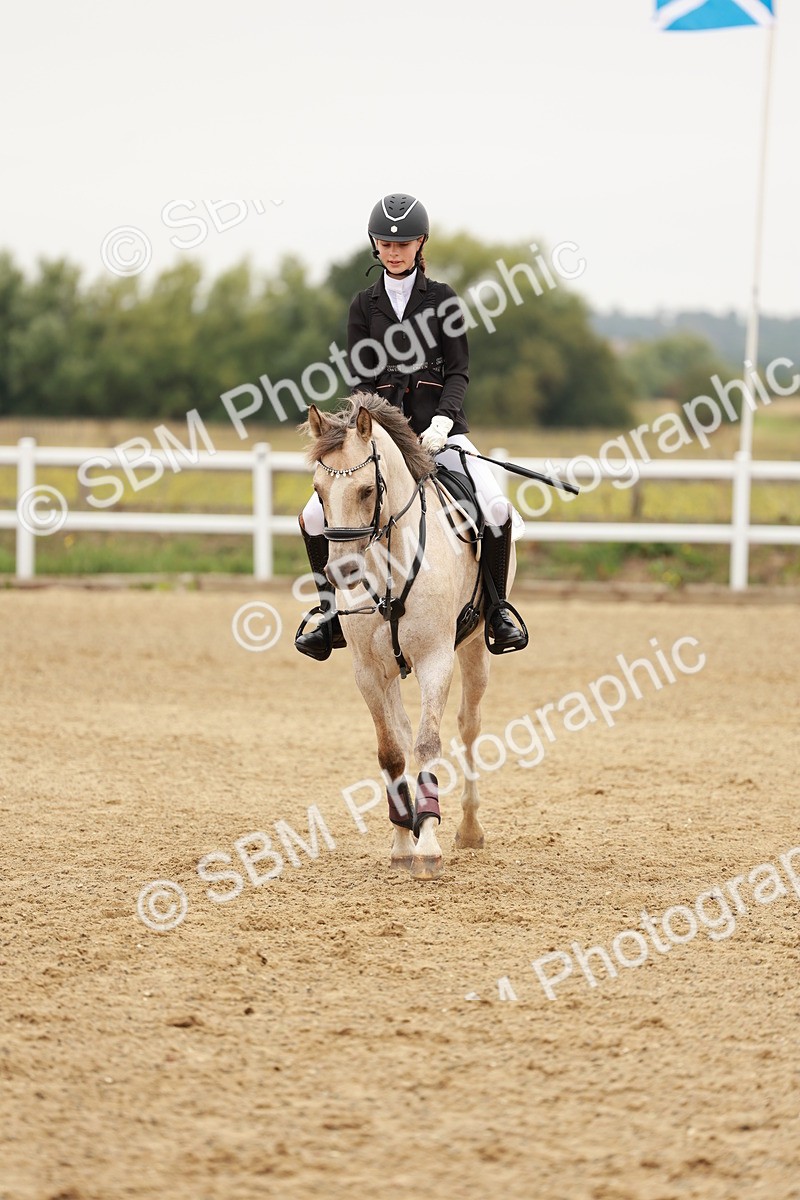 SBM_007451 - Class 2 - 50cm