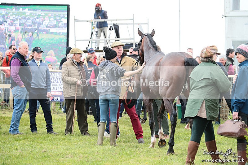 PtP 180426 611 - Worcestershire Hunt PtP Chaddesley Corbett 18/04/26