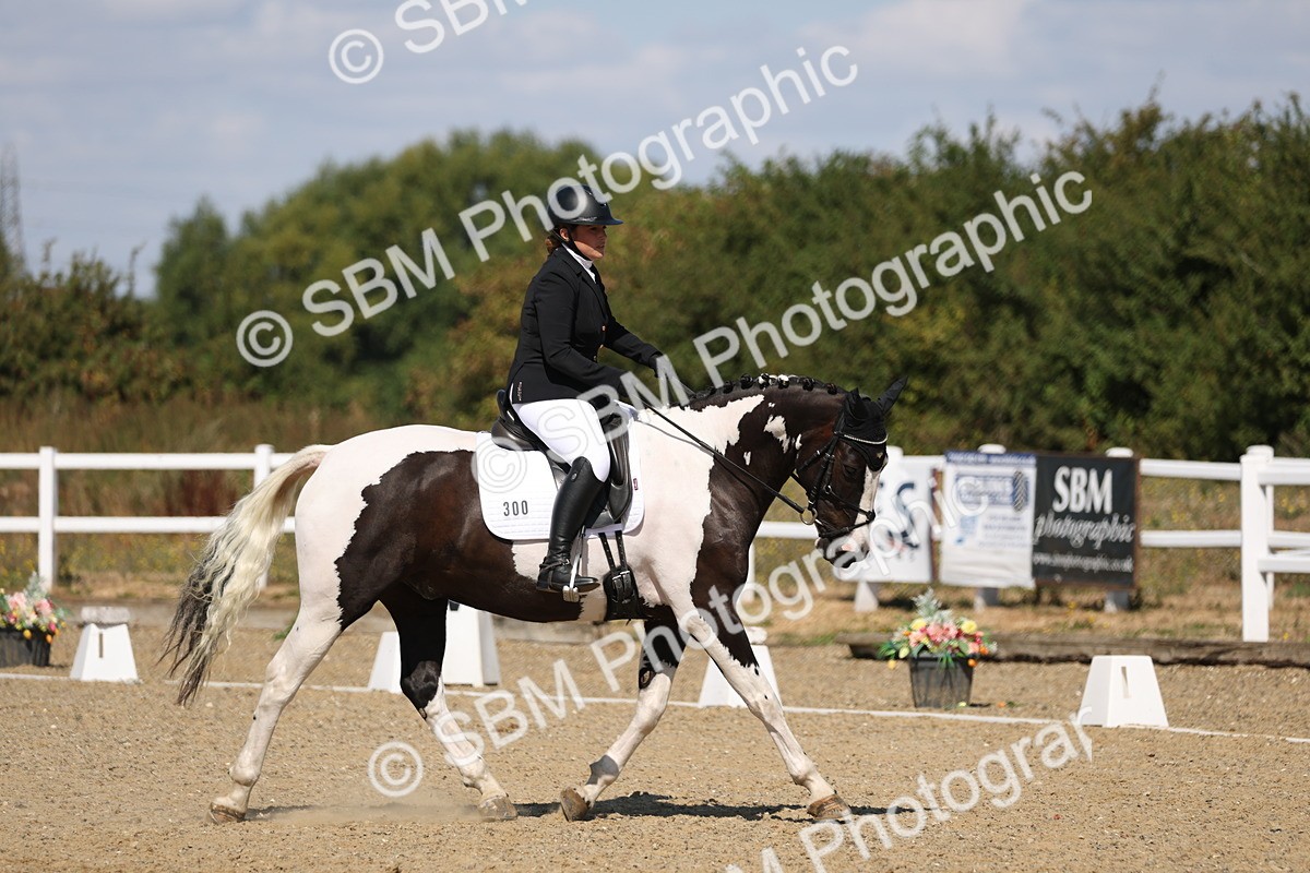 SBM_013654 - Class 1 - P5 Bronze 10.38.12.02
