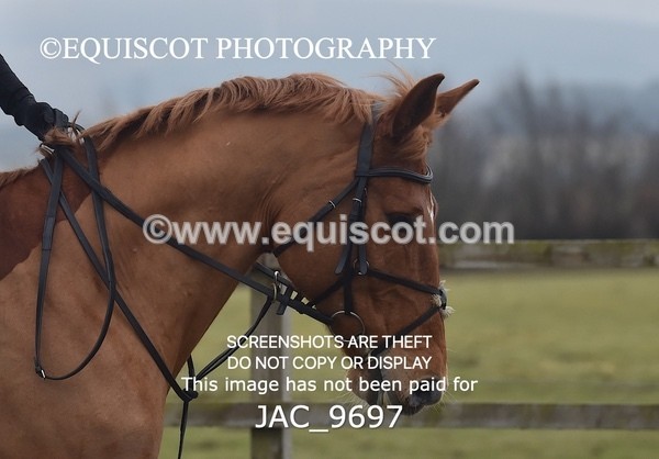 JAC_9697 - CLASS 4 - 90CM