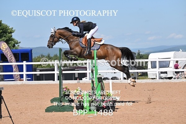 BPP_1488 - QUEEN STAR + GILTON DES ISLOTS
