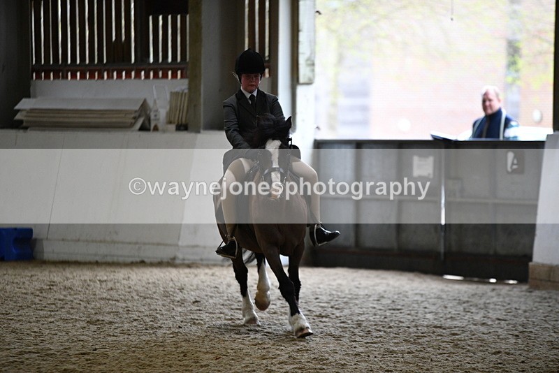 WJ5_7226 - Class 11 Ridden PC - RC Pony