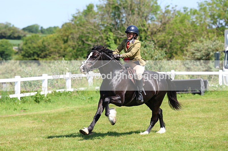 3E7A6777 - Working Hunter Pony Championship