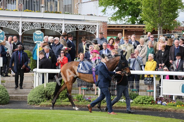 yr11052022r4-4 - Race 4 3.35pm Tattersalls Musidora Stakes