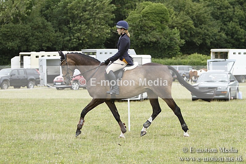 BVR160717-947 - Ring 3 BVRC Show 16/07/17