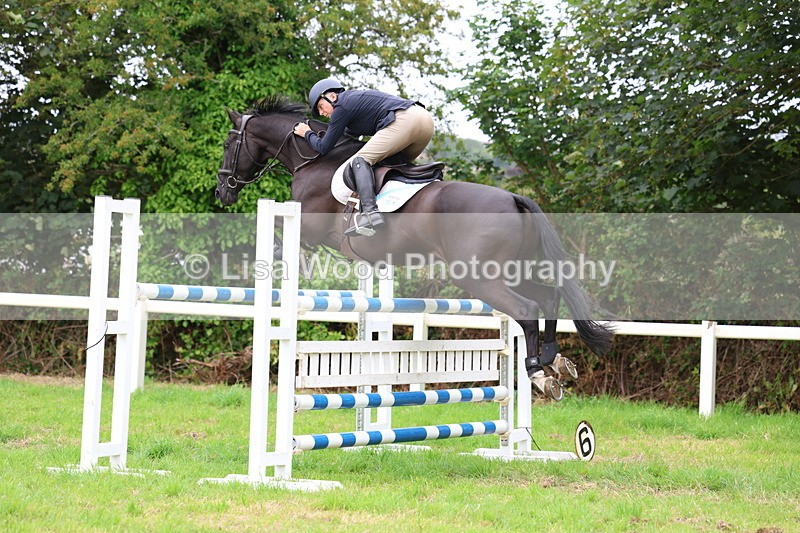 3E7A8638 - Class 8: Senior Foxhunter/1.20m open