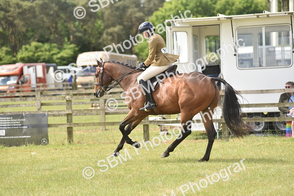 SBM_15103 - Class 113-114 - Retraining of Racehorses Ridden