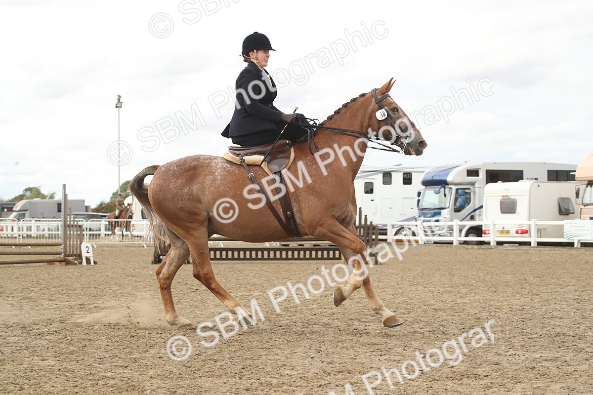 SBM_17656 - Class 508a - Working Veteran 70cm (15-19)