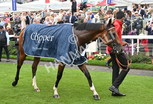 210825-094 Bullet Point - Race 3 3.00pm Clipper Handicap