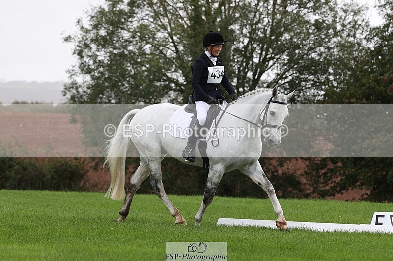 231019-122739-03640 - 434-SPINK.BUSTER-Sue.Parkes-DR