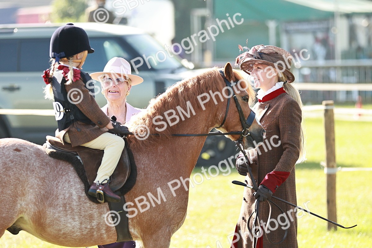 SBM_11191 - Class 106-107 - BSPS LIHS Working Sports Pony