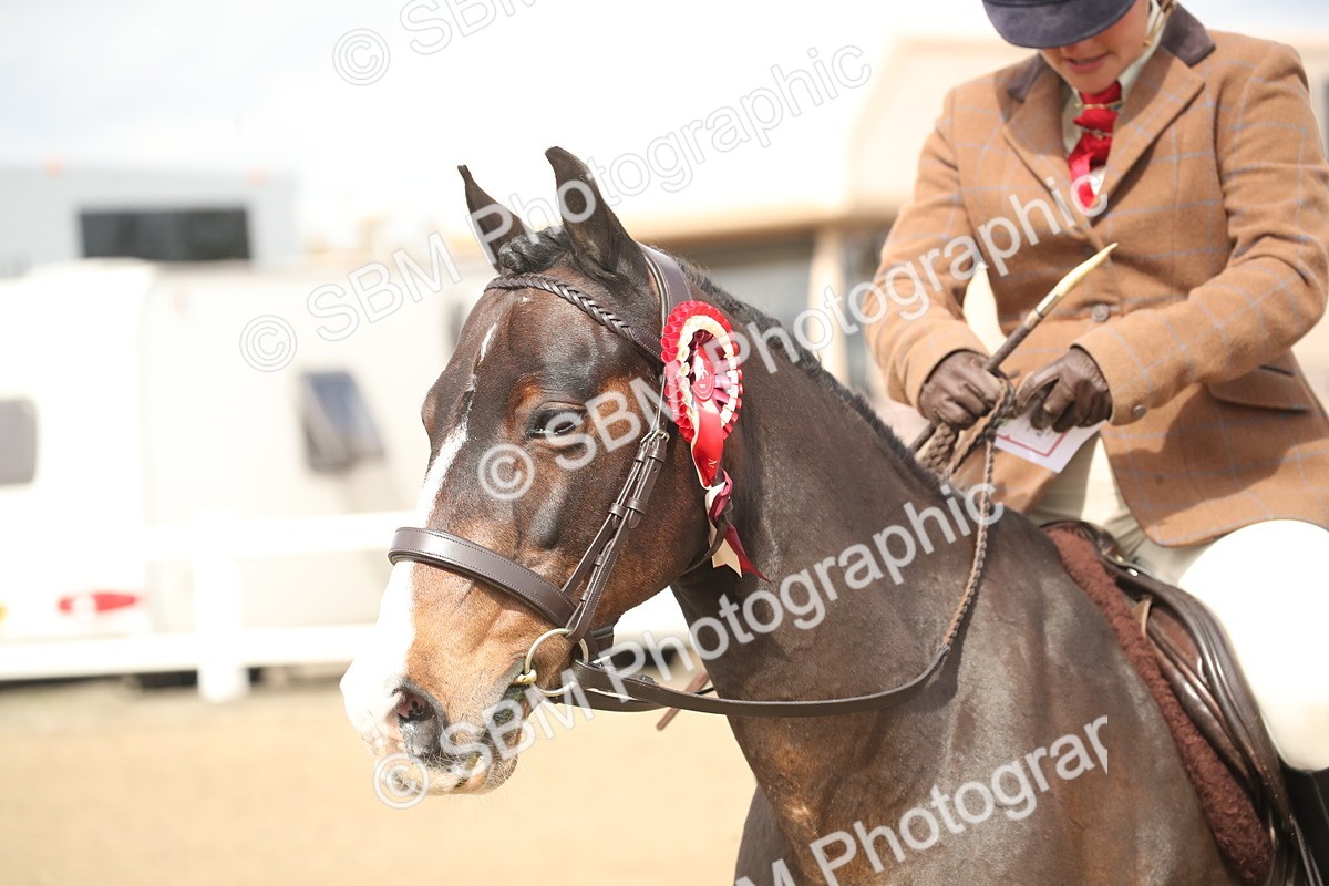 SBM_16552 - Class 506b - Working Veteran - 50cm (20+)