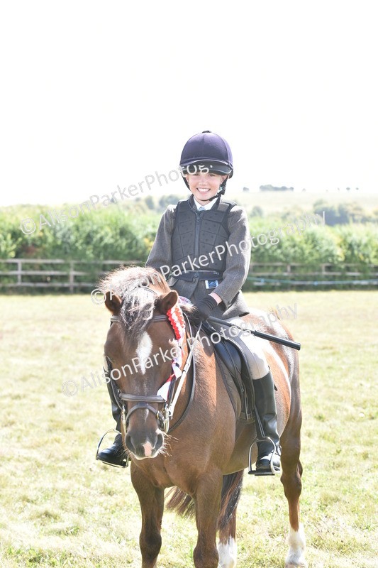 20250831-3955 - Class 11 - Working Hunter Pony 13hh and Under
