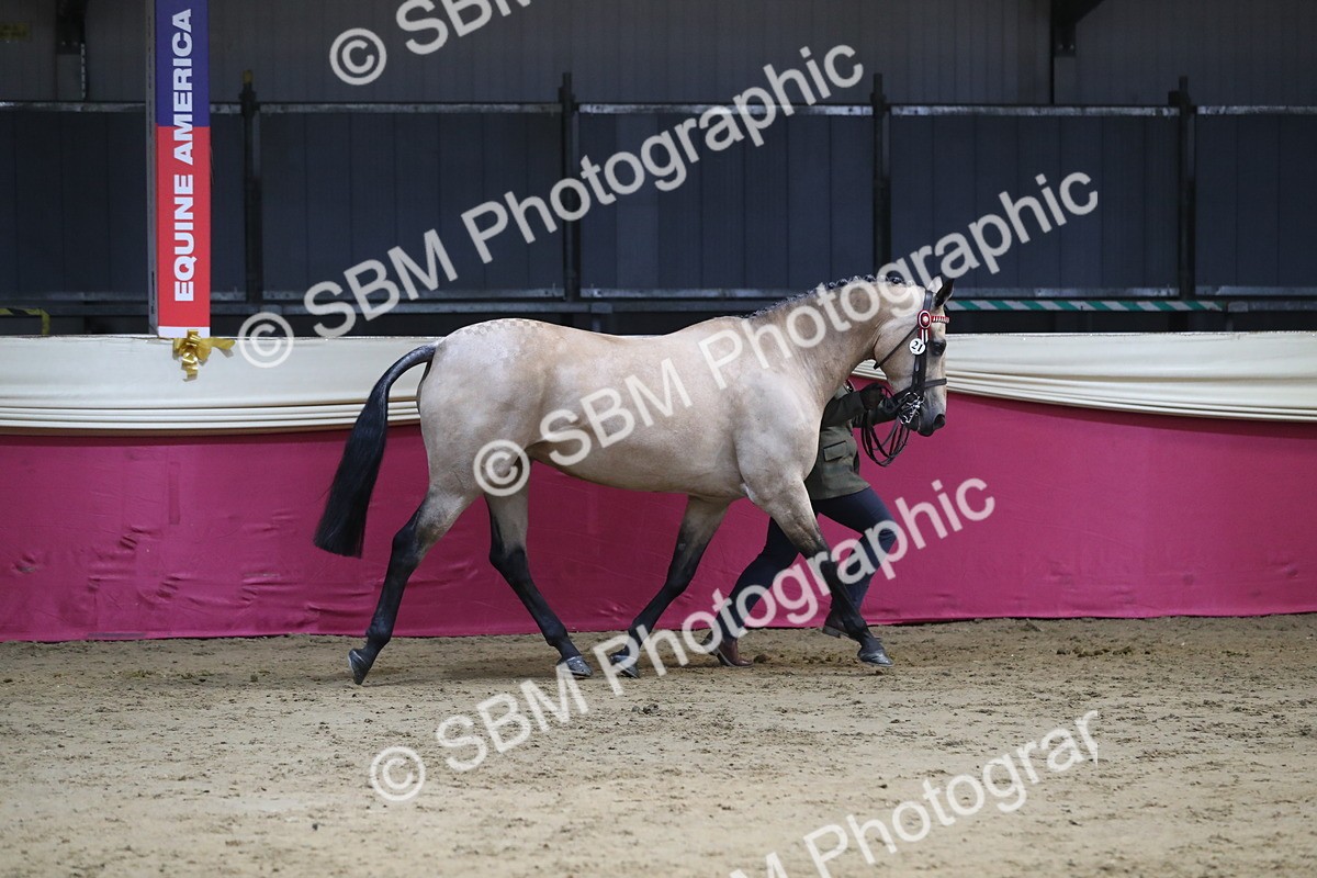 SBM_06520 - Regional IH Champ