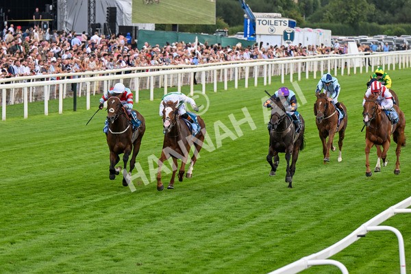 260725-Race 5-Beylerbeyi-0701 - Race 5 3.50pm Sky Bet, For The Fans Handicap