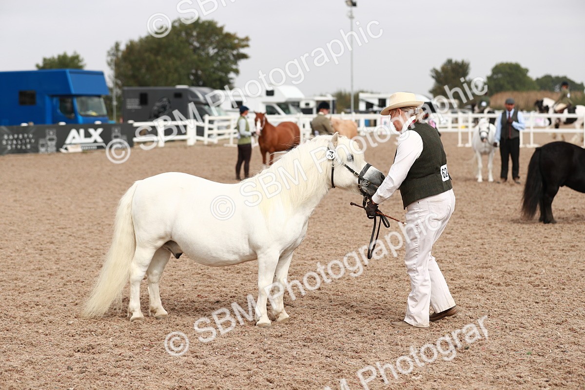 SBM_12525 - Class 207 IH M&M