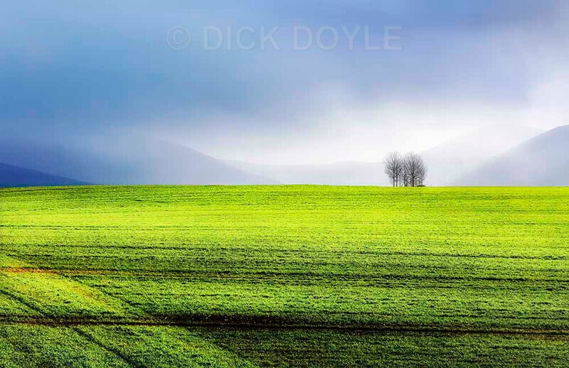Hail shower in sunlight - Minimalist landscapes