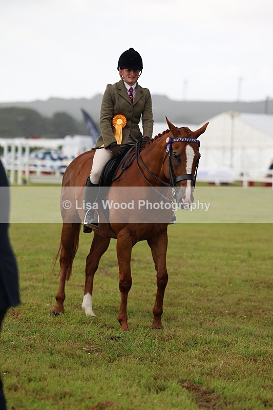 3E7A7946 - Class 1: Rising Star Small Hack/Riding Horses