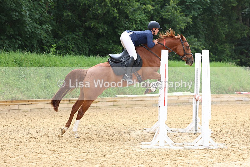 3E7A5661 - Class 4: Senior British Novice/90cm open