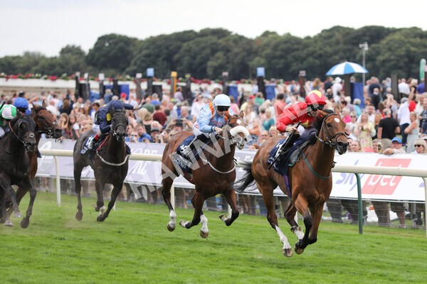 yr19082022r4-69 - Race 4 3.35pm Coolmore Wootton Bassett Nunthorpe Stakes (British Champion Series Race)