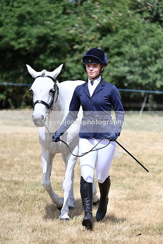 WJ7_1603 - Class 4 Prettiest Mare up to 14.2hh in hand