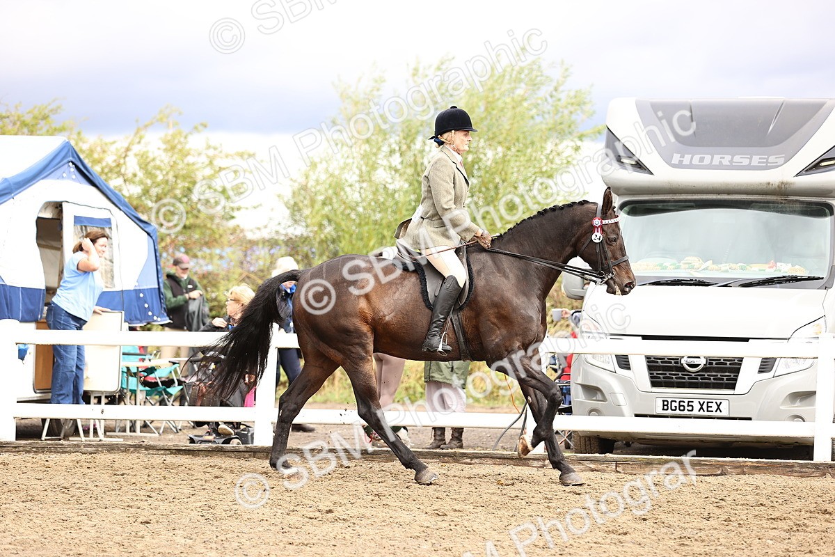 SBM_00575 - Class 53 - Ridden Competition Horse Pony