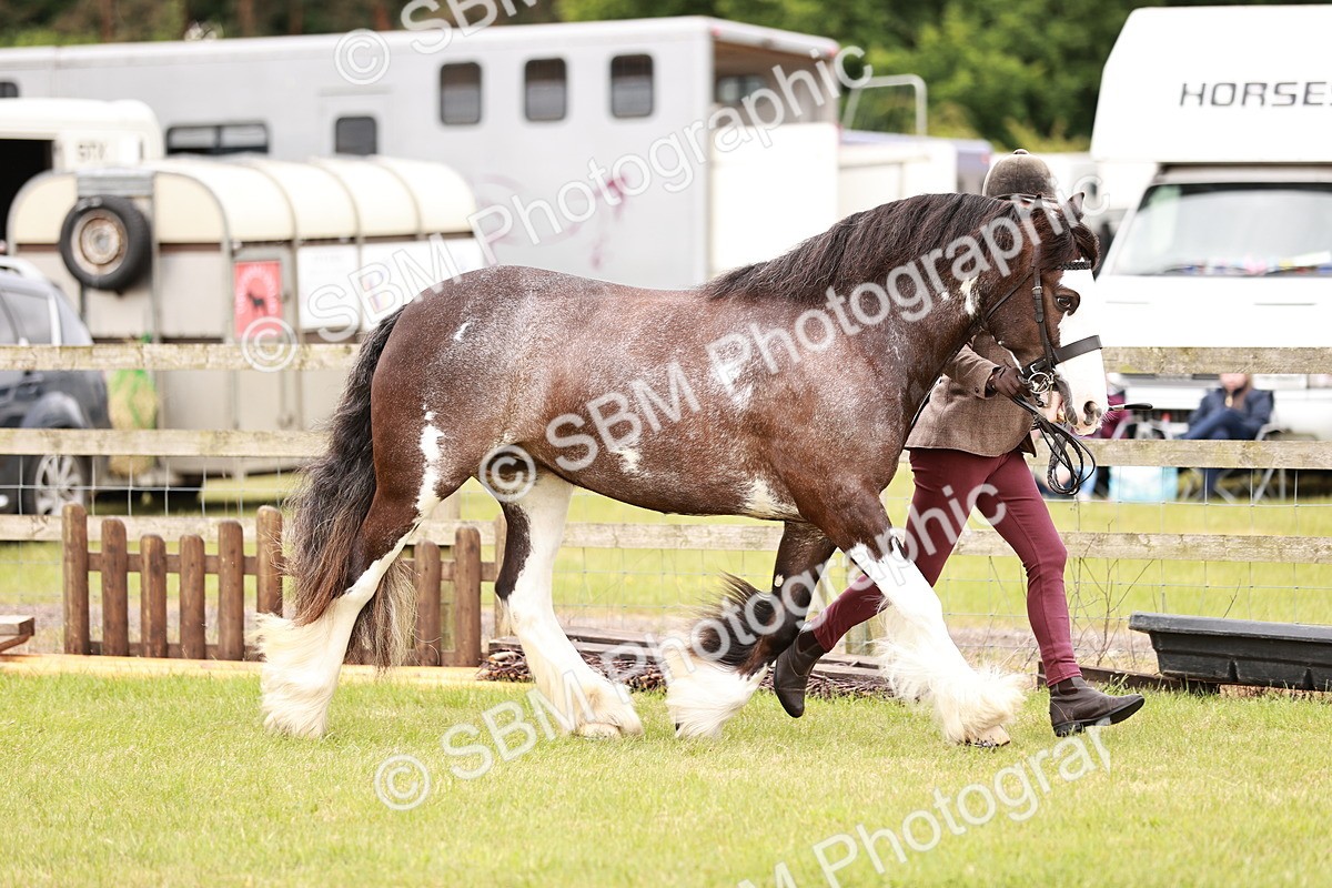 SBM_04662 - Class 5-8 - BSPA In hand