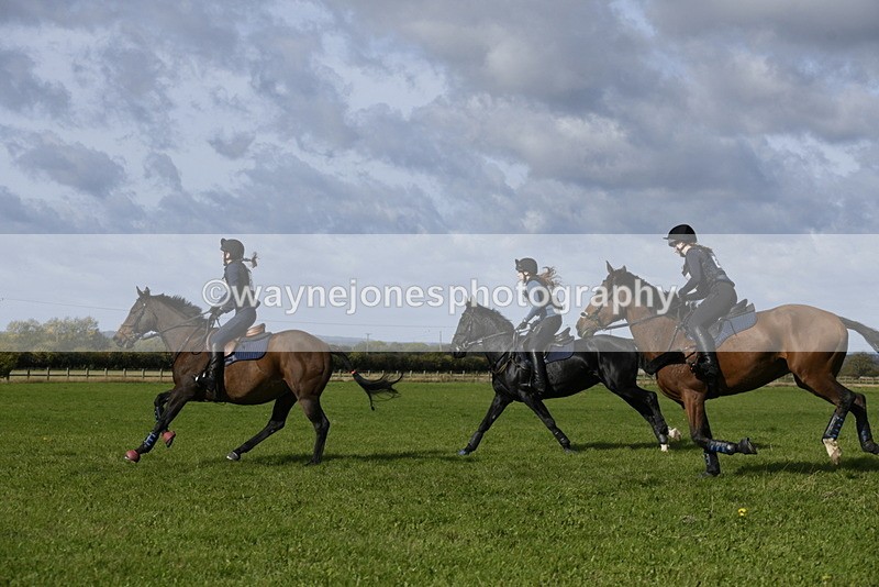 _DSC6821 - Time 11:23 to 12:05