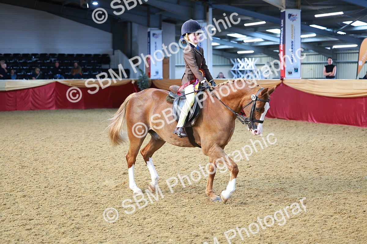 SBM_07771 - Class 101 - HOYS Veteran Qualifier - Ridden Diamond