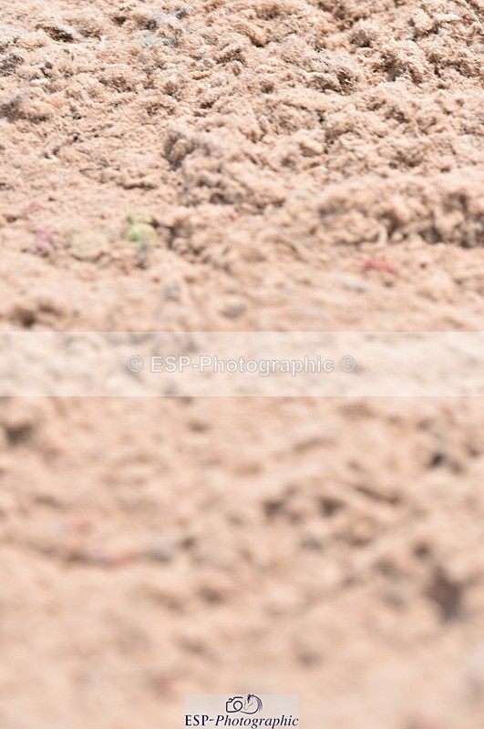 230609A-131826-01025 - Cls 11 Scope 95cm Open Champ