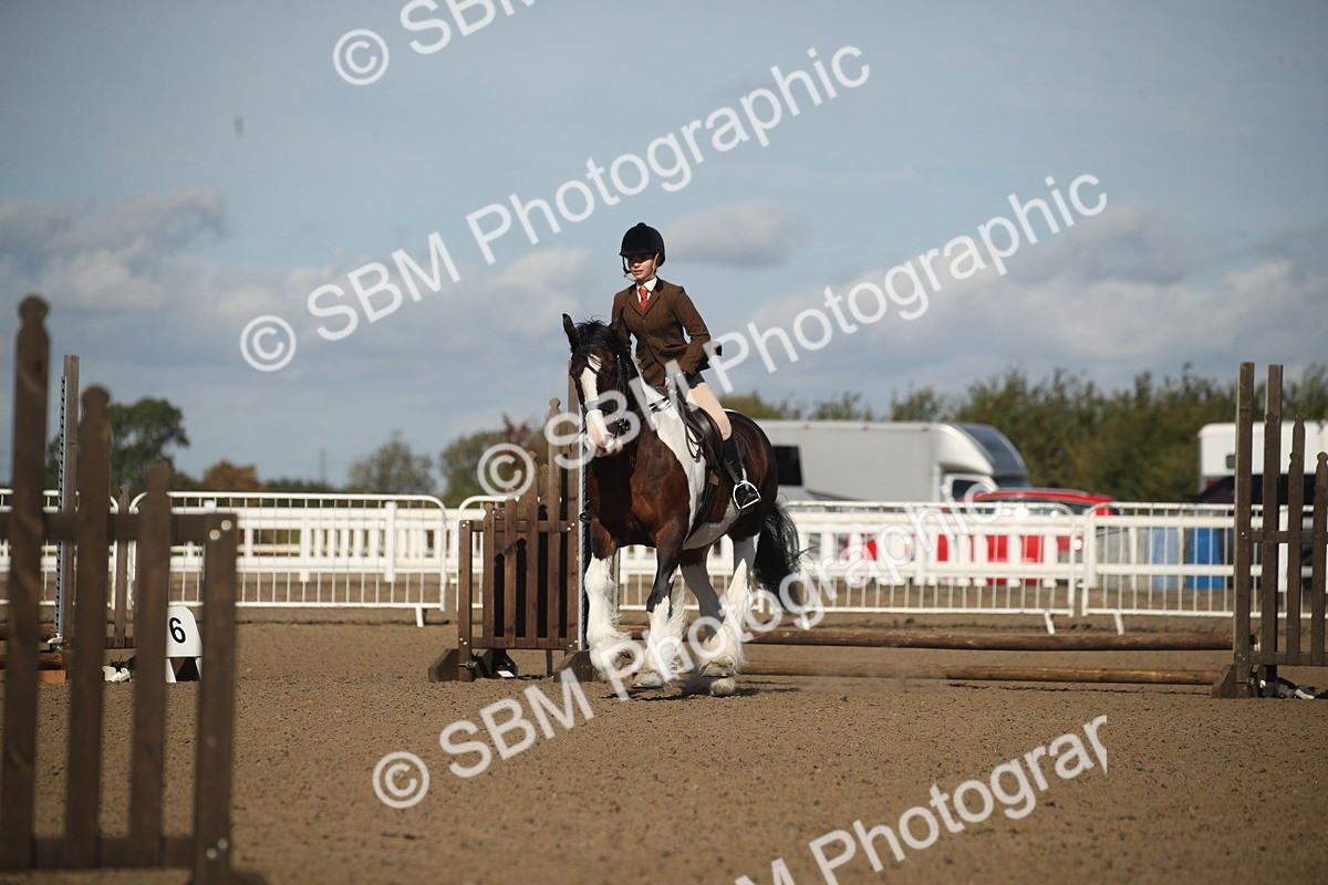 SBM_12733 - Class 504b - Junior Working Veteran - 40cm (20+)