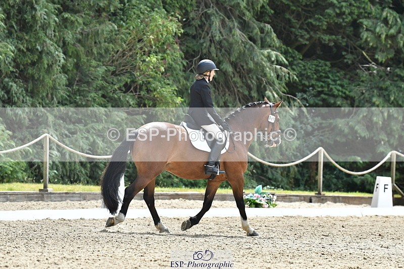 260801A-124200-04040 - Prelim Bronze Break - End